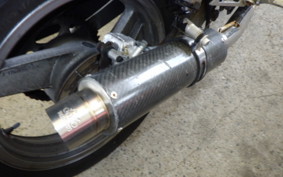 KAWASAKI ZZ-R250 EX250H