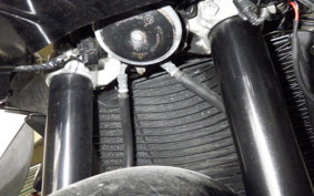 YAMAHA FZ1 FAZER 2010