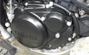 YAMAHA TW200 Gen.2 2022 DG07J