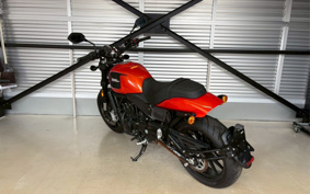 HARLEY X500 2024 W5B