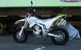 YAMAHA WR250R DG15J