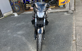 YAMAHA MT-25 RG43J