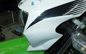 KAWASAKI KLX230 2007 LX230A