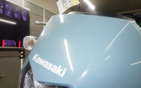 KAWASAKI KLX230 SM 2016 LX232A