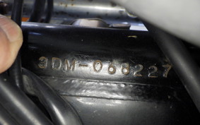 YAMAHA VIRAGO 250 3DM