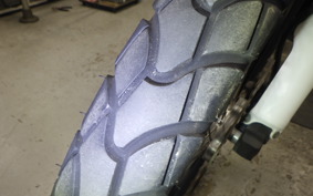 HONDA CRF250 RALLY 2001 MD44