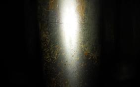 KAWASAKI Z900 2026 Z1F