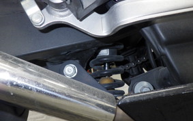 KAWASAKI Z250 2019 ER250C