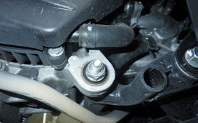 HONDA TACT Basket 2025 AF79