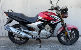 YAMAHA YBR250 PCNL