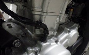 YAMAHA WR250X 2013 DG15J