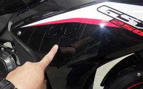SUZUKI GSX250RA