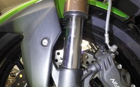 KAWASAKI Z750 R Type 2014
