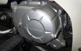 HONDA C50 SUPER CUB AA09