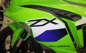 KAWASAKI ZX-25RR 2015 ZX250H