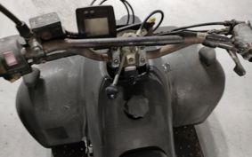 OTHER  BUGGY 50CC ..