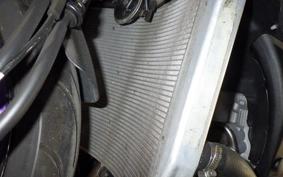 KAWASAKI NINJA ZX-6R 2022 ZX636G