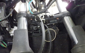 KAWASAKI NINJA 250 SL 2015 BX250A