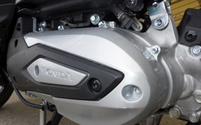 HONDA DIO 110 Lite JK46