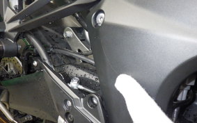 KAWASAKI NINJA 1000SX 2021 ZXT02K