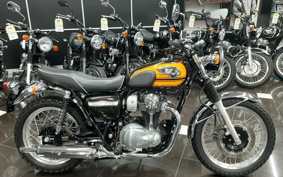 KAWASAKI W800 FE 2020 EJ800A
