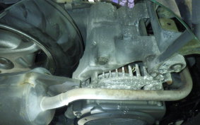 HONDA LEAD 110 2025 JF19