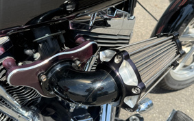 HARLEY FXCWC 2008 JK5