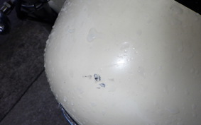 KAWASAKI VULCAN 1500 CLASSIC 1996 VNT50D