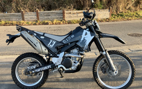 YAMAHA WR250X DG15J