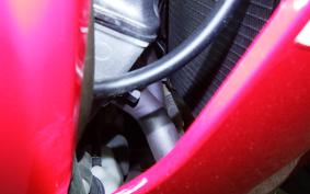 HONDA CBR600RR 2025