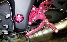 KAWASAKI NINJA 1000 A 2019 ZXT00W