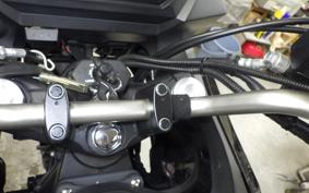 SUZUKI DL650 ( V-Strom 650 ) A 2018 C733A