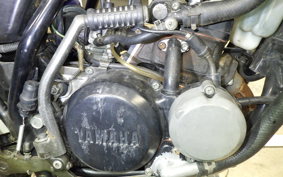 YAMAHA DT50 2024 17W