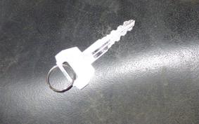 SUZUKI GOOSE 250 NJ46A