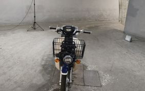 HONDA SUPER CUB110 JA42