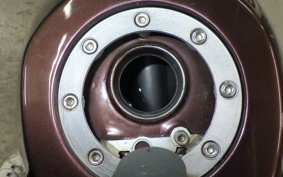 HONDA FTR223 1996 MC34