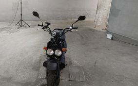 HONDA ZUMAR AF58
