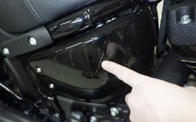 HARLEY FXLRST1920 2025