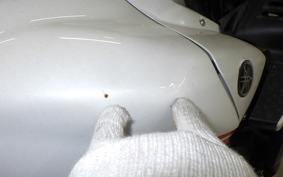 YAMAHA FZ1 FAZER 2009 RN21J