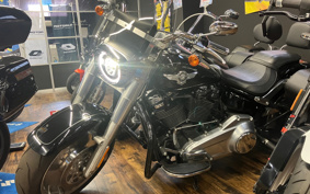 HARLEY FLFB 2019 YFJ