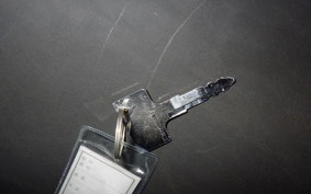 KAWASAKI ELIMINATOR 250 V VN250A