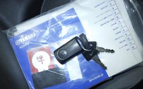 YAMAHA X-MAX 250 2009 SG70J