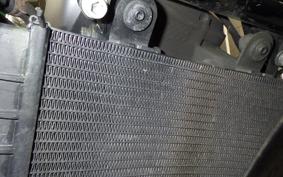HARLEY RH975 2022