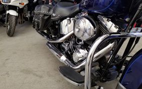 HARLEY FLSTC 2006 BJY