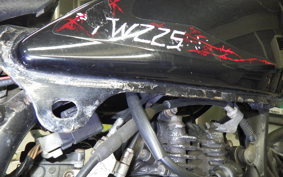 YAMAHA TW225 2021 DG09J