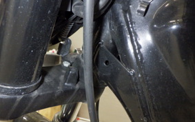 OTHER +ENFIELD ﾒﾃｵ350 2022