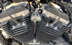 HARLEY HARLEY XL883N 2017 LE2