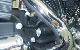 HARLEY FXBRS1870 2021