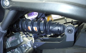 KAWASAKI ZX-4R SE 2024 ZX400P