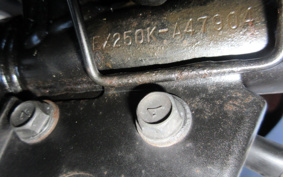 KAWASAKI NINJA 250R EX250K